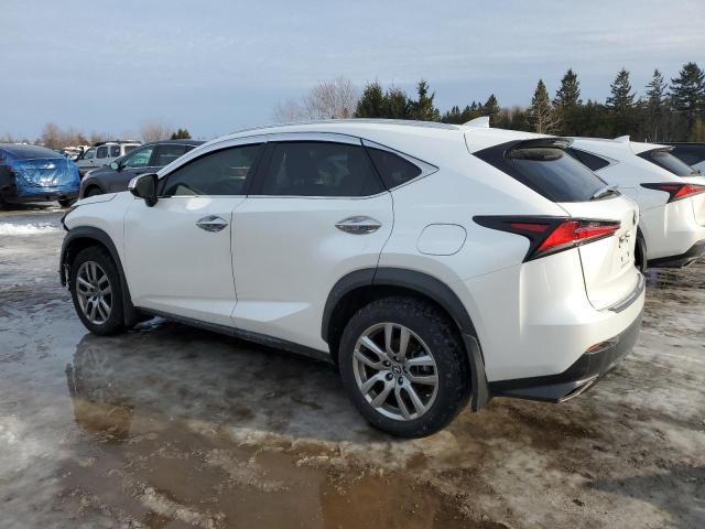 2020 LEXUS NX 300 JTJGARDZ6L5014742