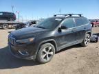 2019 JEEP CHEROKEE L - 1C4PJMDX3KD430532