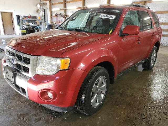 1FMCU0E71AKC61274 Ford Escape Limited 2010