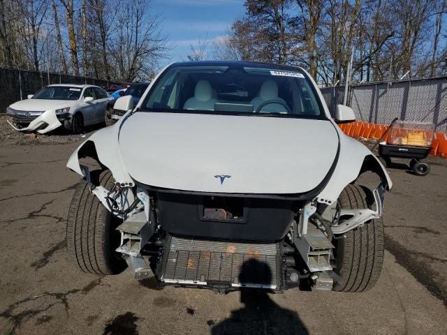 2023 TESLA MODEL Y - 7SAYGDEE5PF831826