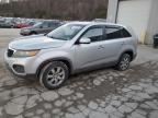 Top Destinations for Shipping Cars from the USA