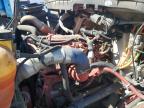 Lot #3292296296 2018 INTERNATIONAL 4000 4300