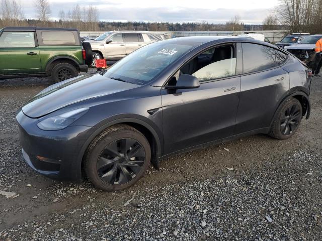 TESLA MODEL Y 2024 gray  electric 7SAYGDEE7RF164261 photo #1