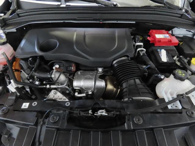 2024 DODGE HORNET R/T ZACPDFCW0R3A27719