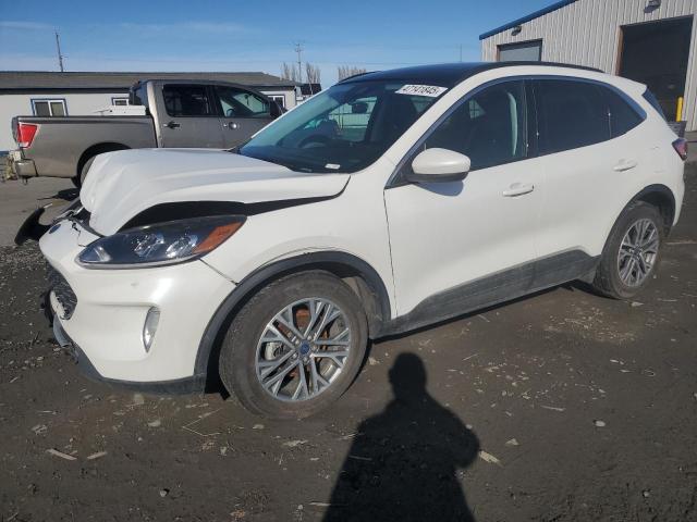 FORD ESCAPE SEL