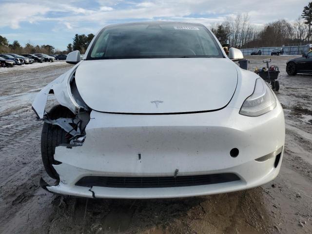 2023 TESLA MODEL Y - 7SAYGDEE0PA116790