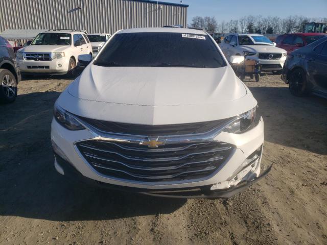 2019 CHEVROLET MALIBU LT - 1G1ZD5ST9KF186811