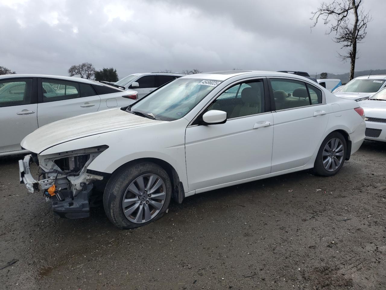 HONDA ACCORD EX