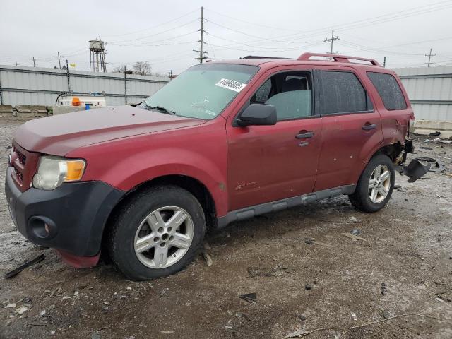 FORD ESCAPE HYB