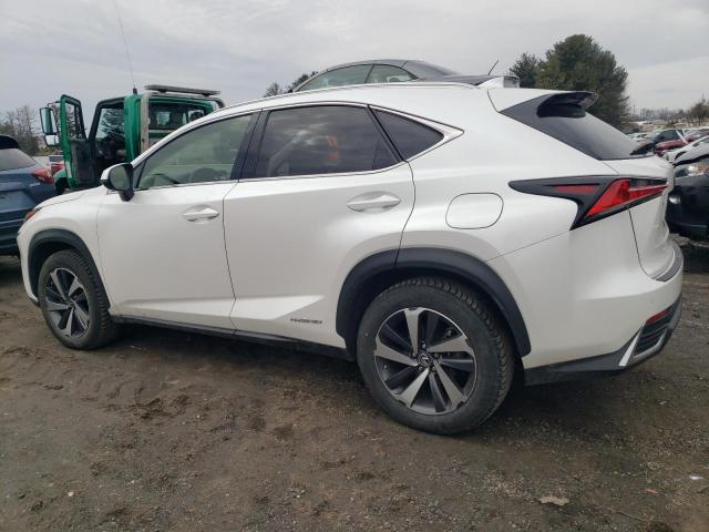 2020 LEXUS NX 300H JTJGJRDZ0L5009200