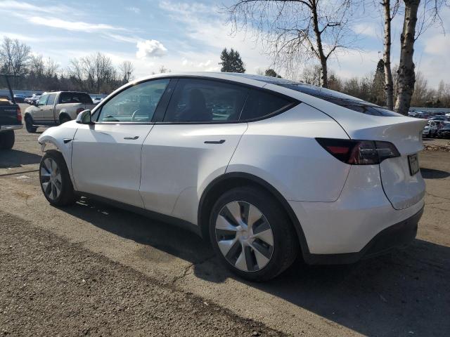 2023 TESLA MODEL Y - 7SAYGDEE5PF831826
