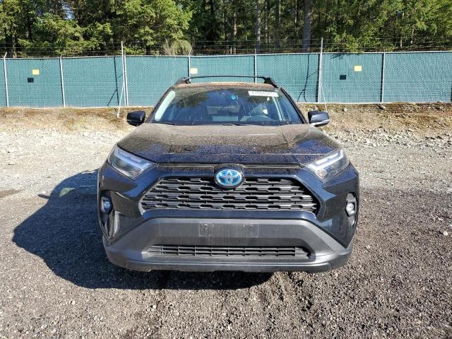 2024 TOYOTA RAV4 WOODL 2T3UWRFVXRW204496