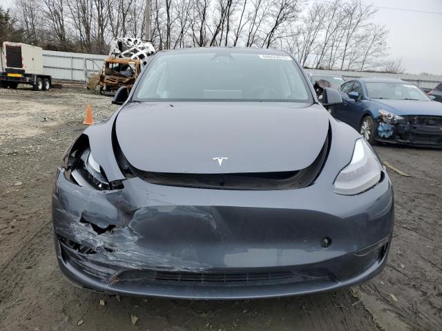 2023 TESLA MODEL Y - 7SAYGDED5PF933554