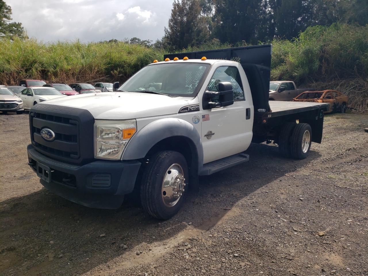 FORD F-450 SUPER DUTY
