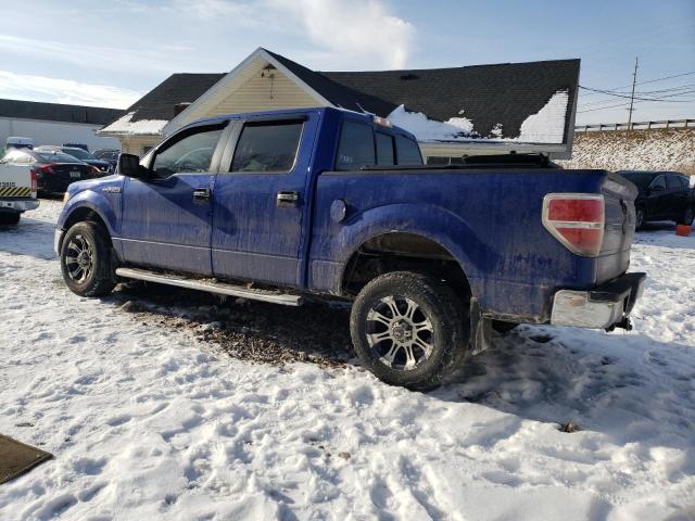 FORD F150 SUPER 2010 blue  flexible fuel 1FTFW1EV2AFD01094 photo #3