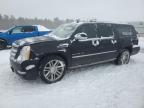 Top Destinations for Shipping Cars from the USA