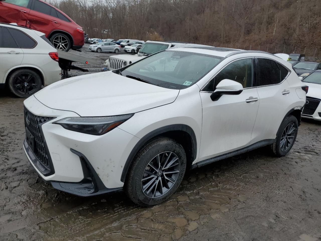 2T2GGCEZXNC002950 LEXUS NX 350 2022