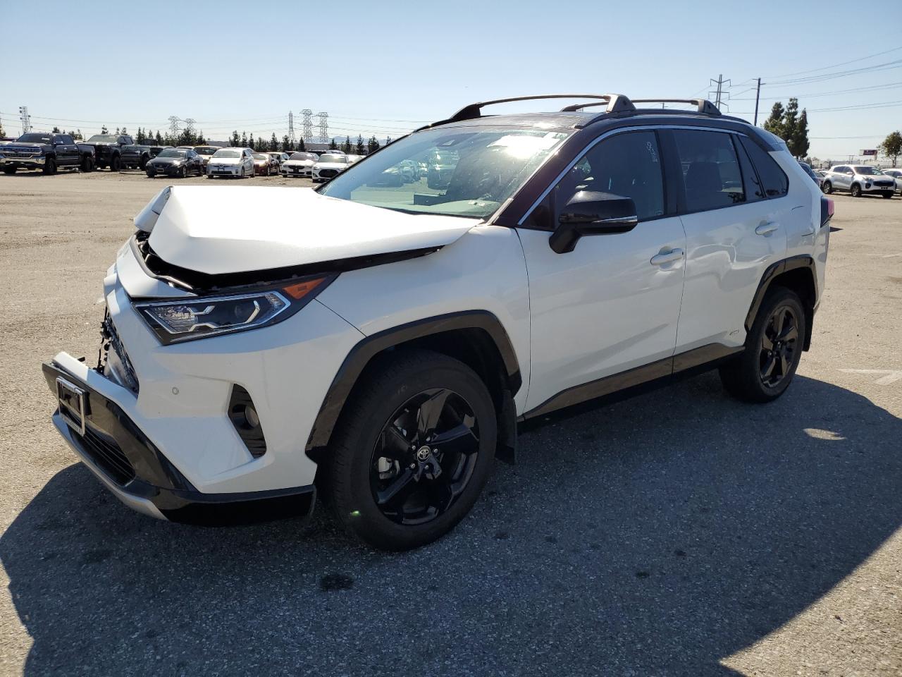 4T3E6RFV8MU037696 TOYOTA RAV4 XSE 2021