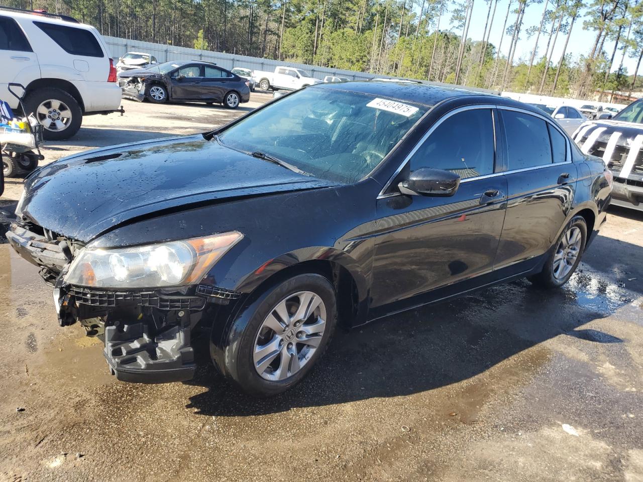 HONDA ACCORD SE