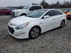 2015 HYUNDAI SONATA HYB - KMHEC4A48FA128863