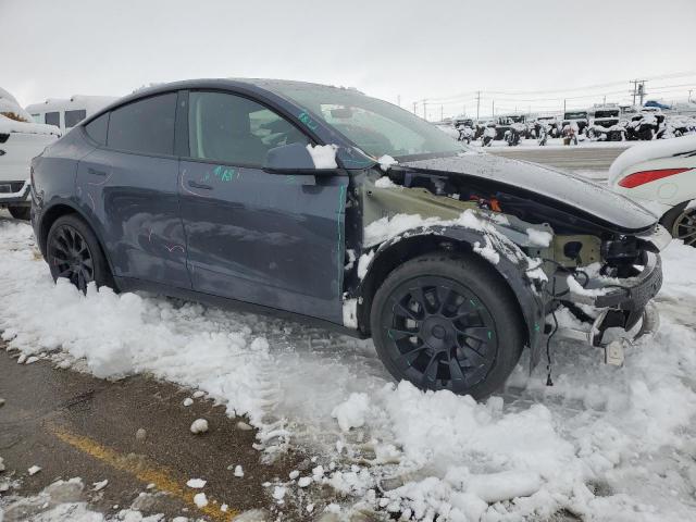 2023 TESLA MODEL Y - 7SAYGAEE4PF698636