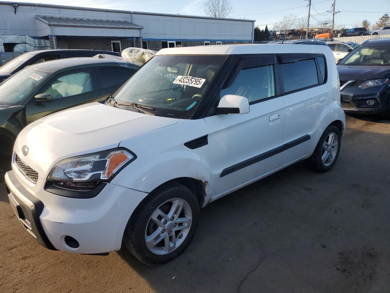 KIA SOUL +