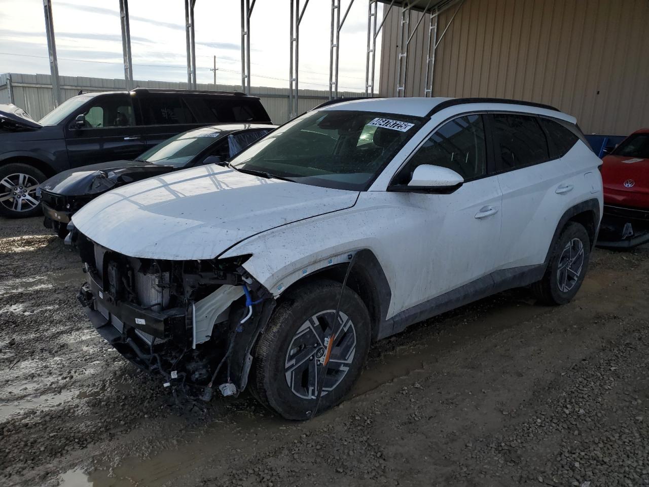 KM8JBDD13SU262630 HYUNDAI TUCSON BLU 2025