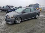 Top Destinations for Shipping Cars from the USA