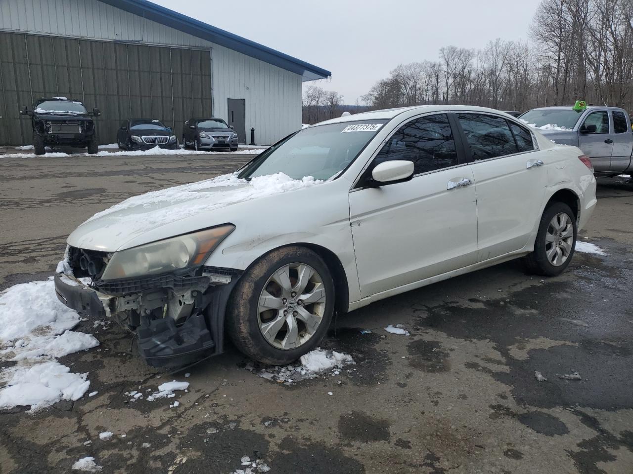 HONDA ACCORD EXL