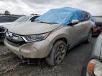 2019 HONDA CR-V EXL - 2HKRW1H83KH503274