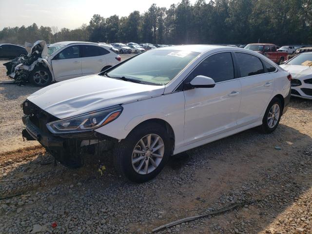 Vin: 5npe24af4kh771674, lot: 45514695, hyundai sonata se 2019 img_1