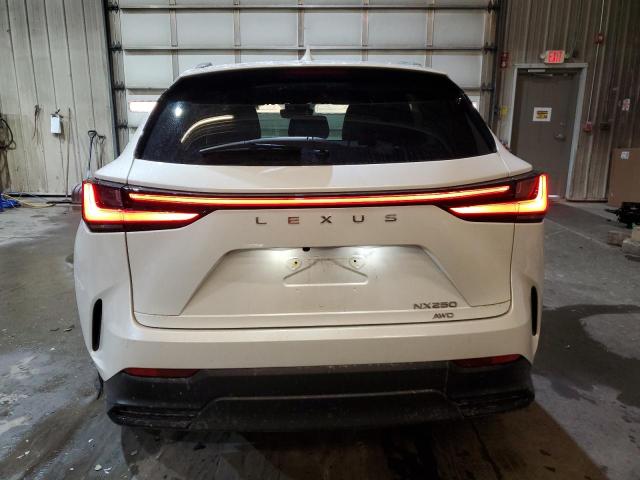 2022 LEXUS NX 250 - JTJADCEZ4N2000125