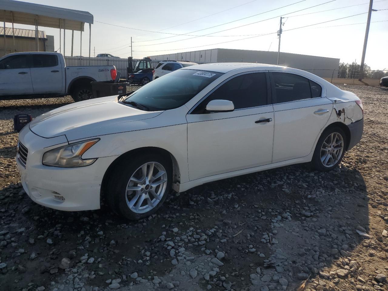 NISSAN MAXIMA S