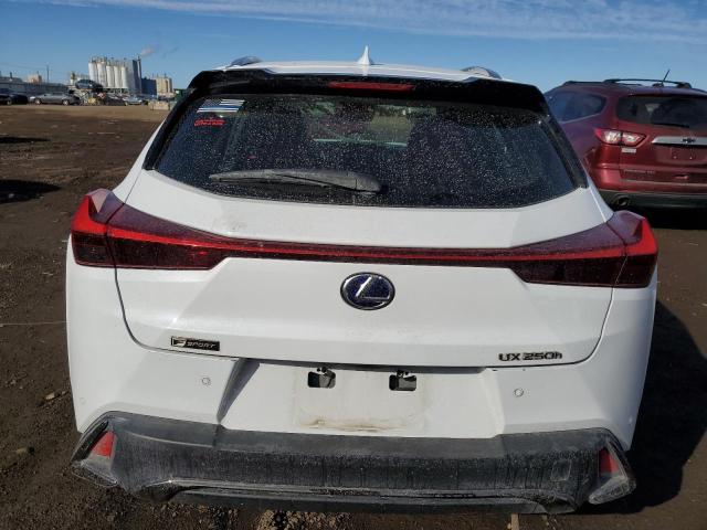 2020 LEXUS UX 250H - JTHR9JBH5L2032813