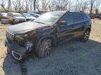 2021 JEEP CHEROKEE L - 1C4PJMDX0MD139621