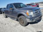 Lot #3292404272 2013 FORD F150 SUPER
