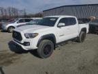 2020 TOYOTA TACOMA DOU - 3TMCZ5AN7LM339706