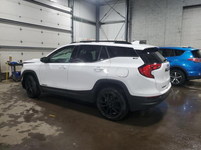 2021 GMC TERRAIN SL - 3GKALVEV0ML318971