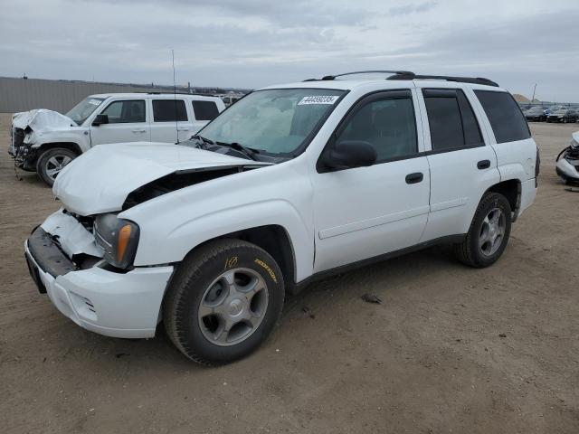 CHEVROLET TRAILBLAZE 2008 white  gas 1GNDT13S382216394 photo #1