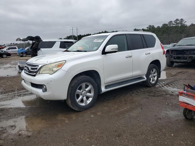 LEXUS GX 460