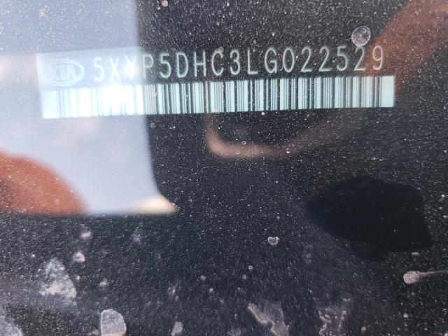 2020 KIA TELLURIDE - 5XYP5DHC3LG022529