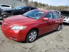 Top Destinations for Shipping Cars from the USA