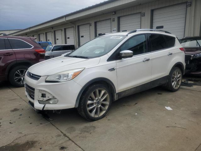 Vin: 1fmcu0gx8guc33983, lot: 44446805, ford escape se 2016 img_1