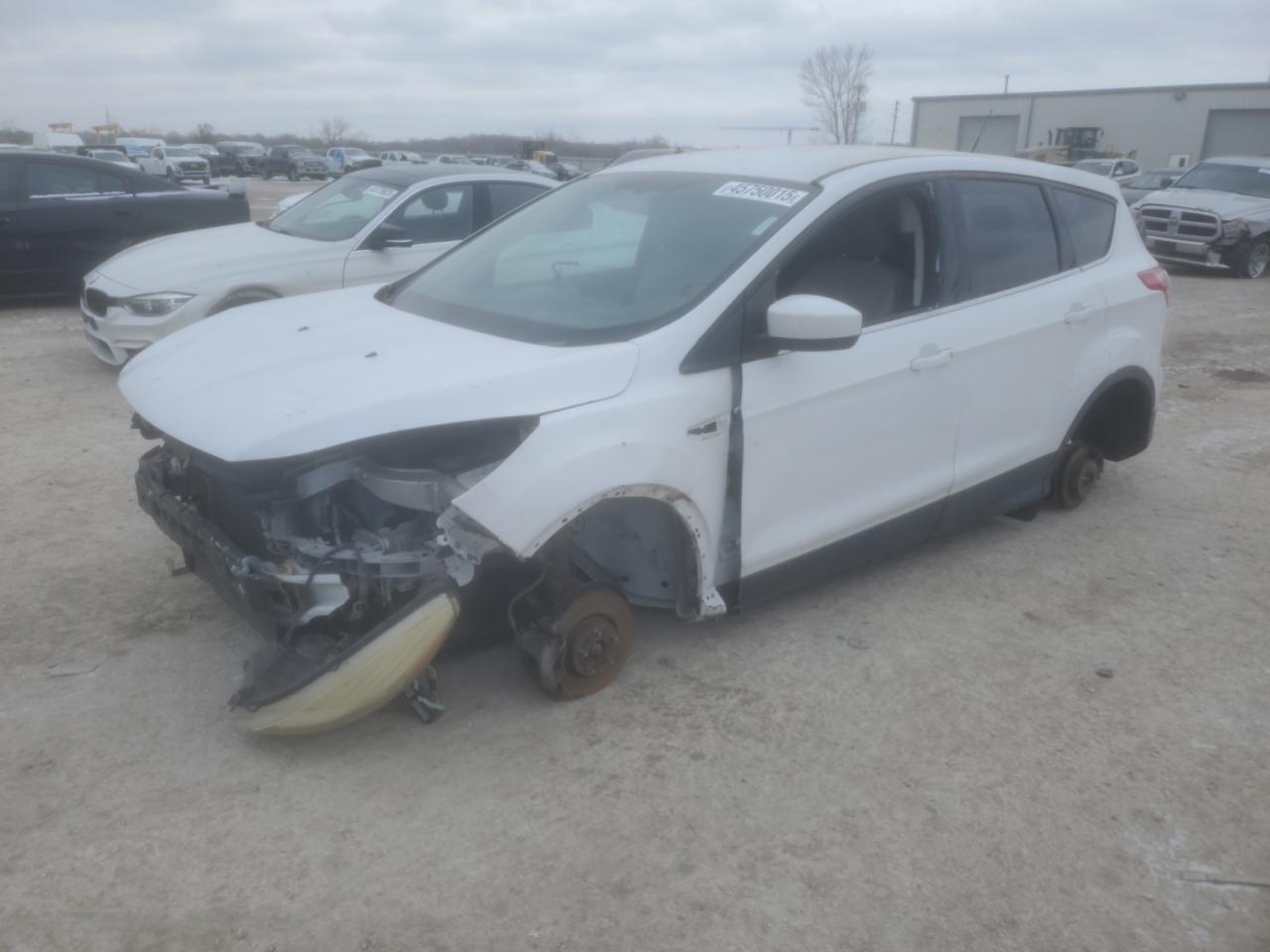 Lot #3139818613 2014 FORD ESCAPE SE