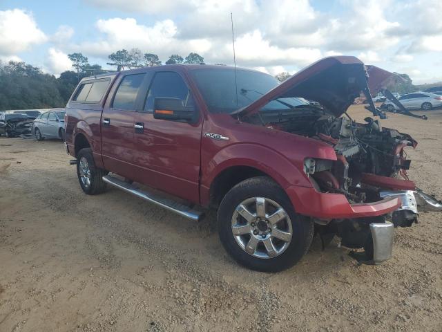 2013 FORD F150 SUPER - 1FTEW1CM4DFC47419