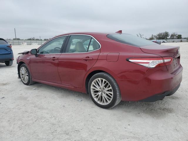 2020 TOYOTA CAMRY XLE 4T1F31AK0LU539301