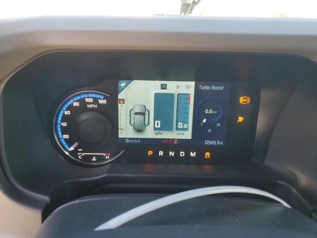 2024 FORD BRONCO WIL 1FMEE2BP1RLA54539