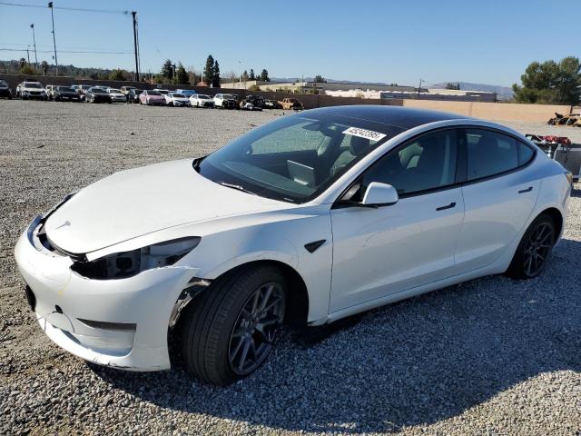 Vin: 5yj3e1eaxpf571822, lot: 45242395, tesla model 3 2023 img_1