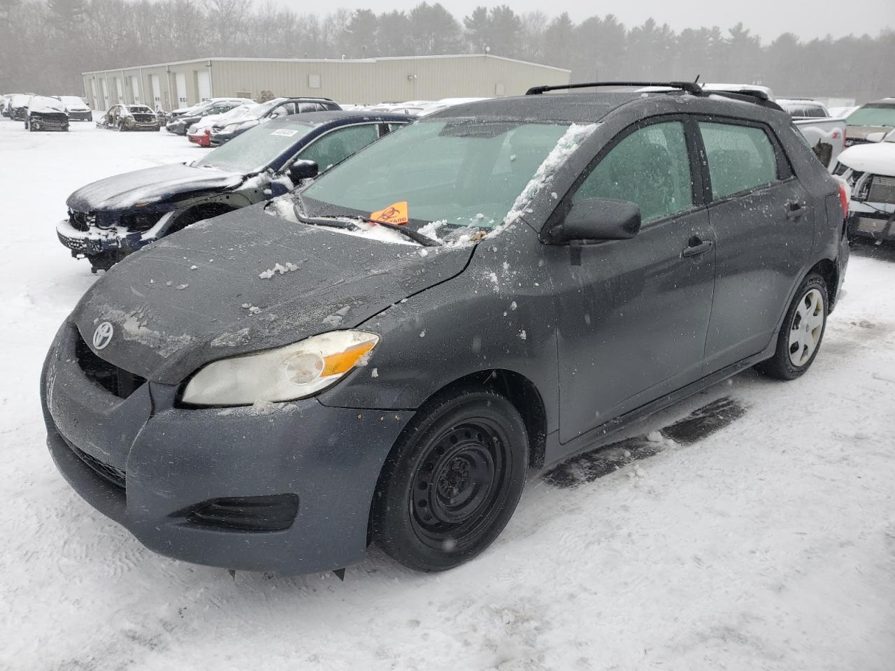 TOYOTA COROLLA MA