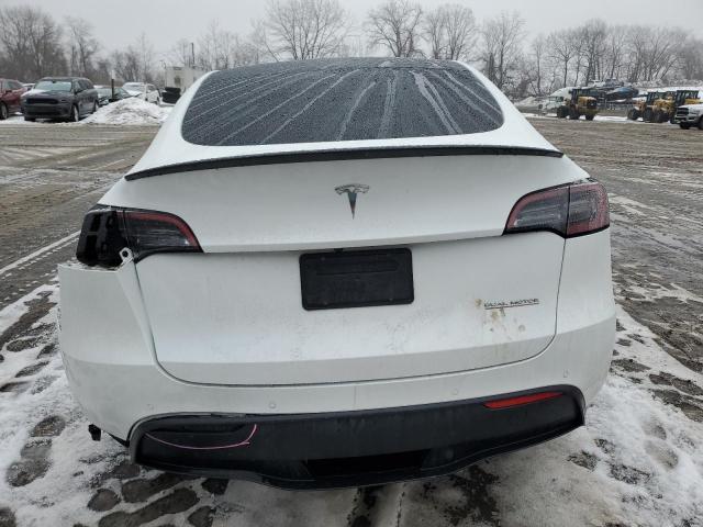 2022 TESLA MODEL Y - 7SAYGDEF3NF308794
